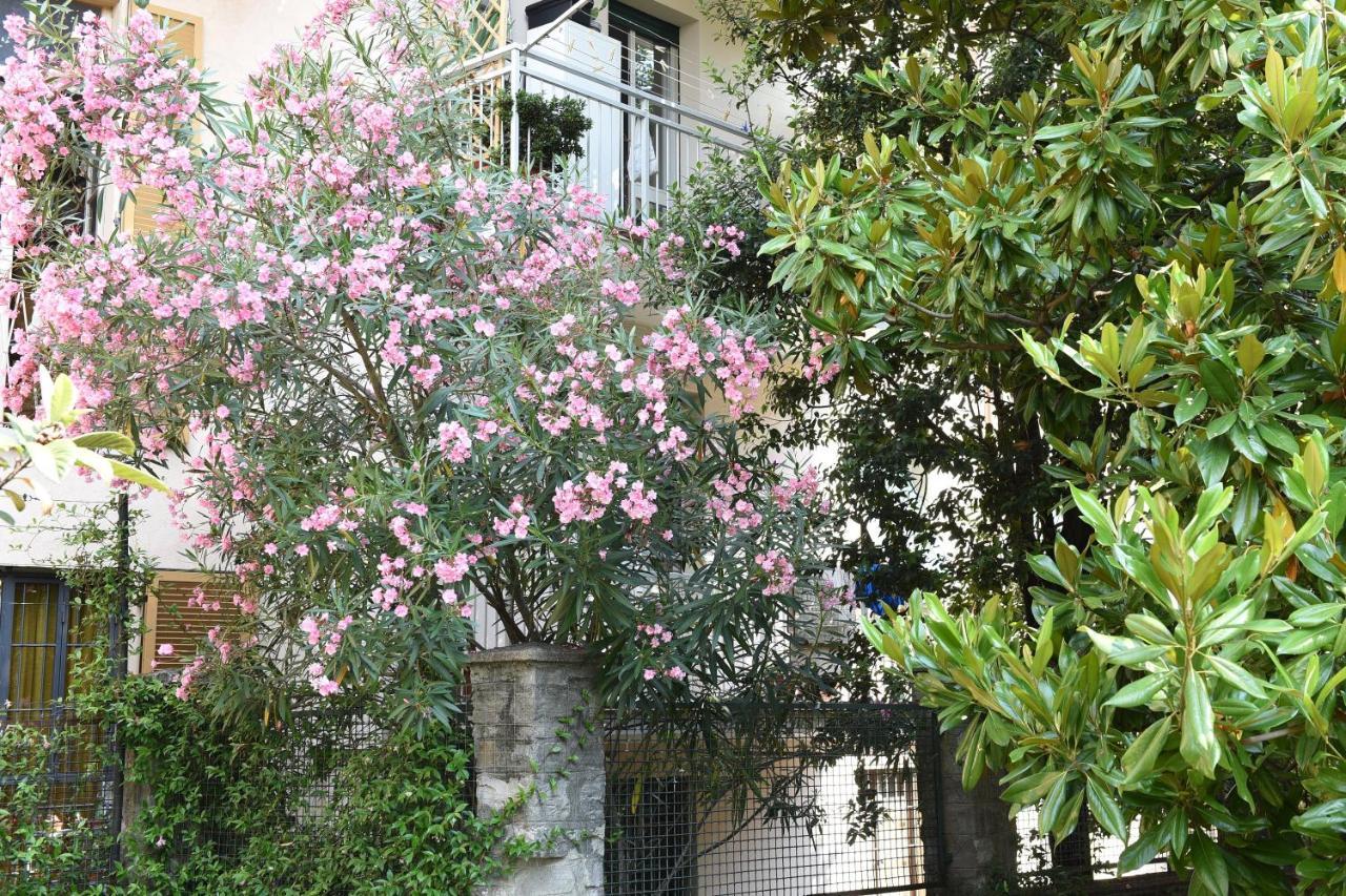 Le Rondinelle Apartment Como Bagian luar foto
